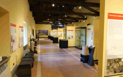 Museo civico archeologico “Giuseppe Moretti”